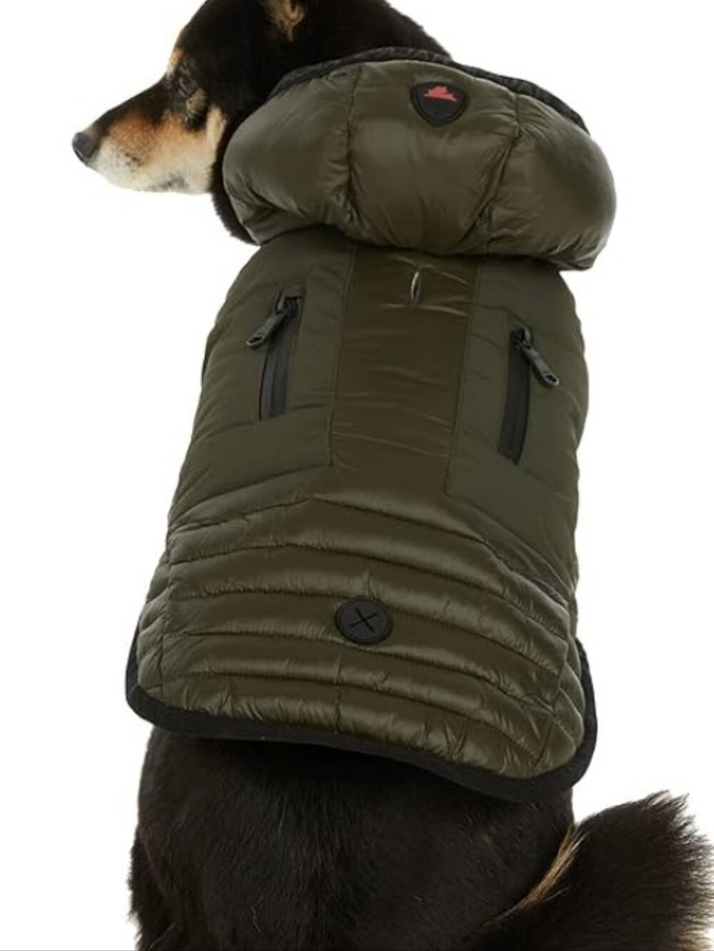 Pajar Pup Pajar Canada Eddie Parka Dog Coat Jacket Military Green XXL
